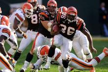 Les Bengals de Cincinnati en pleine action