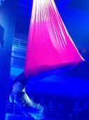 Concerts 2012 las vegas 1124 this i love aerialist