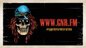 Appetite for destruction boxset poster axl rose web