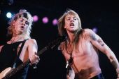 Axl rares PN013597