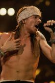 Axl rares PN013614