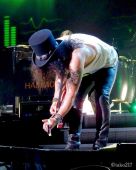Concerts 2017 0125 yokohama 1485458478048