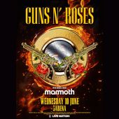 Concerts 2026 0610 dublin poster2