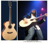 Guitares gear ron thal bfoot parkwood